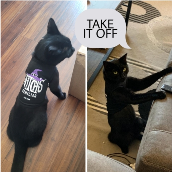 ❤️ Meet Moon Goddess ❤️ - Picture 9 of 16